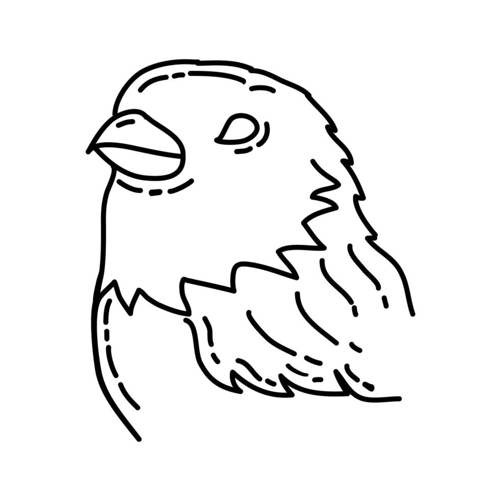 icono de aves tropicales. Doodle dibujado a mano o estilo de icono de contorno vector