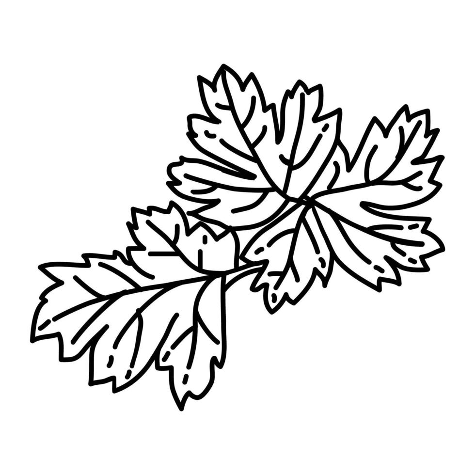 Parsley Icon. Doodle Hand Drawn or Outline Icon Style vector