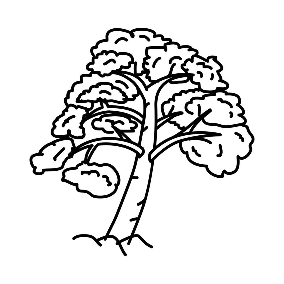 icono de árbol tropical. Doodle dibujado a mano o estilo de icono de contorno vector