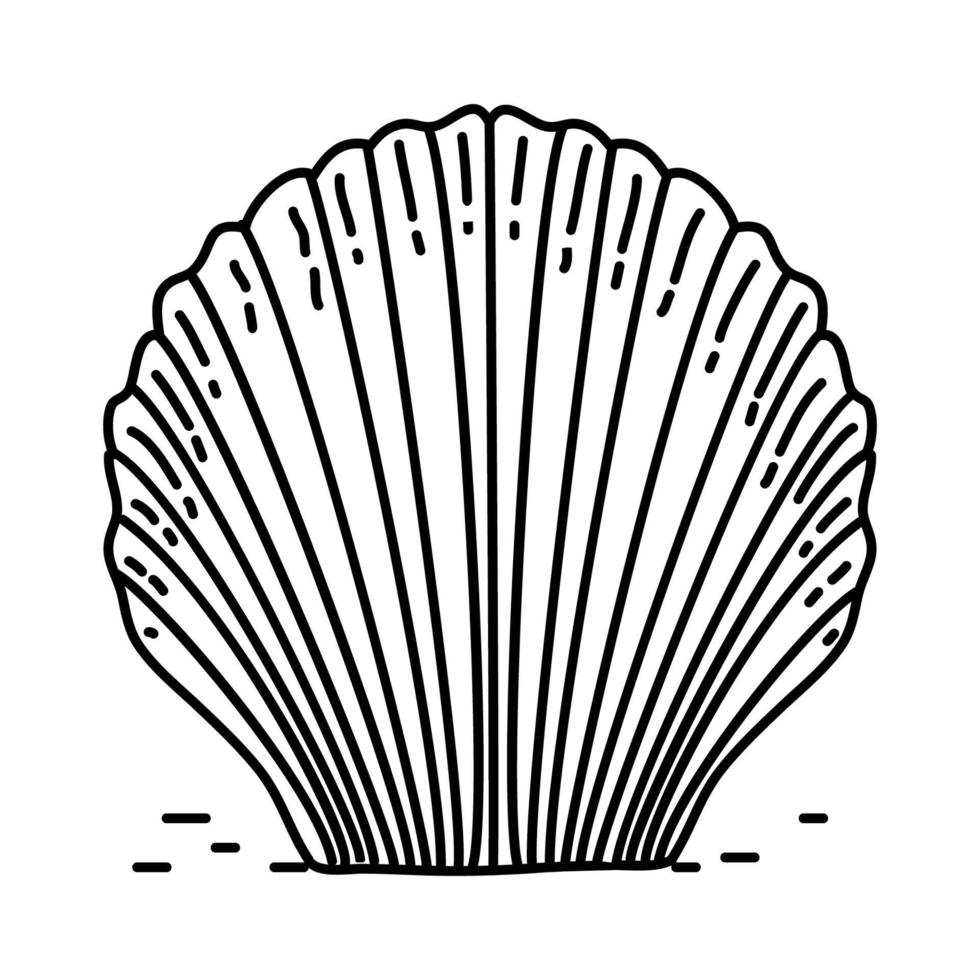 Shell Tropical Icon. Doodle Hand Drawn or Outline Icon Style vector