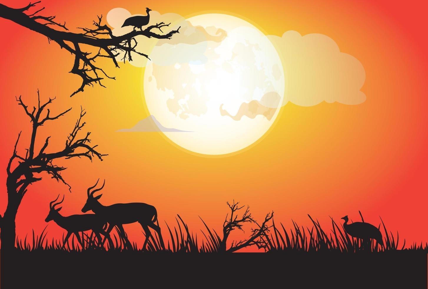 bosque noche naturaleza ilustración arte con animales vector