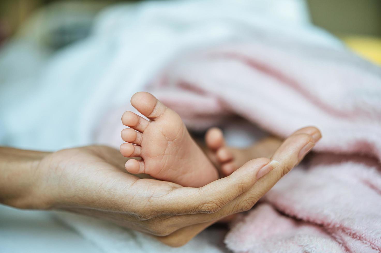 Newborn baby feet on mother's hand photo