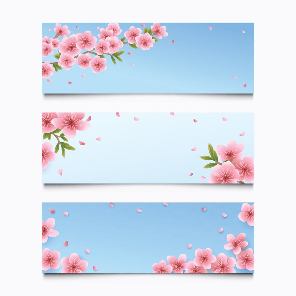 Conjunto de banner de flor de sakura floreciente en el cielo azul vector