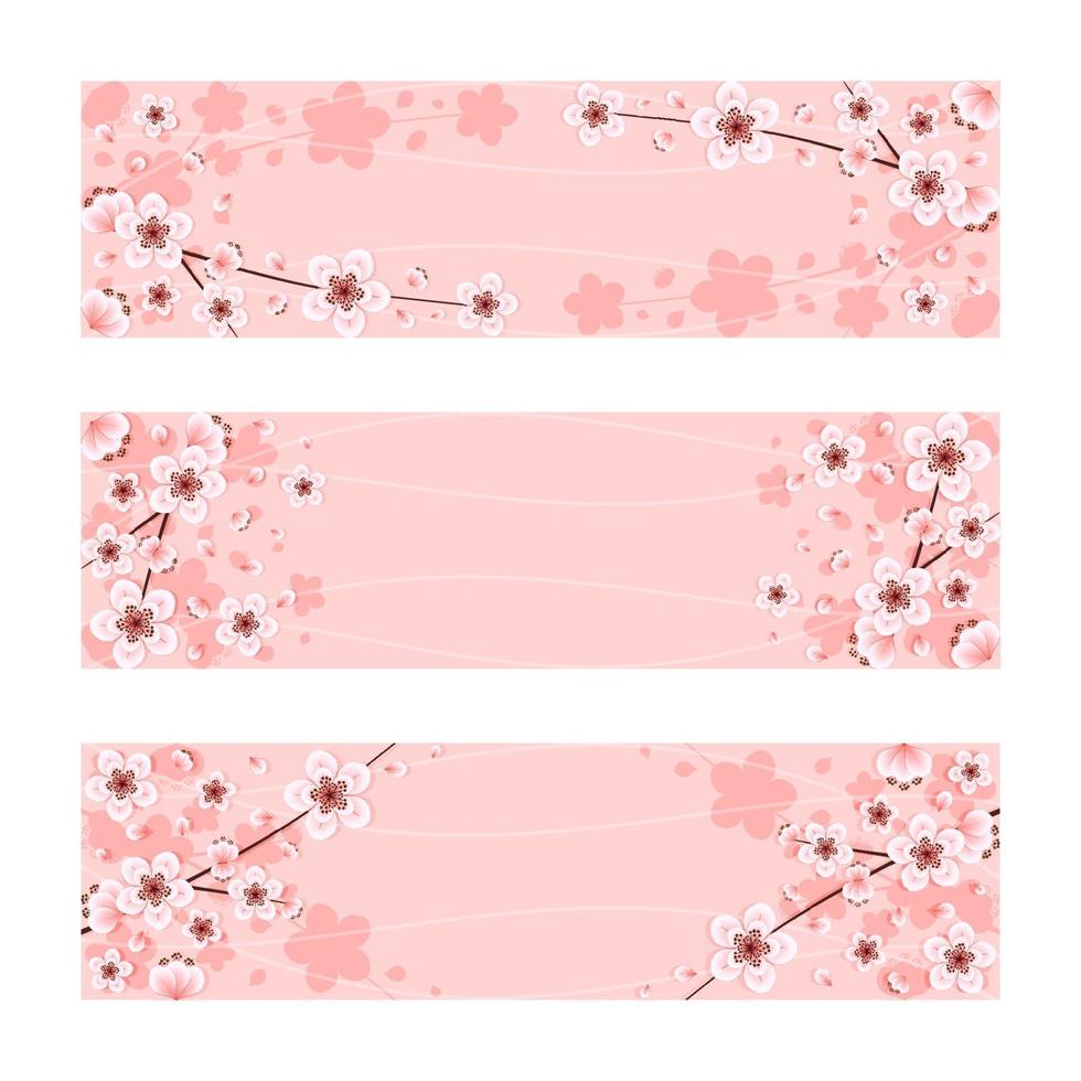 Beautiful Cherry Blossom Flowers Banner Set vector