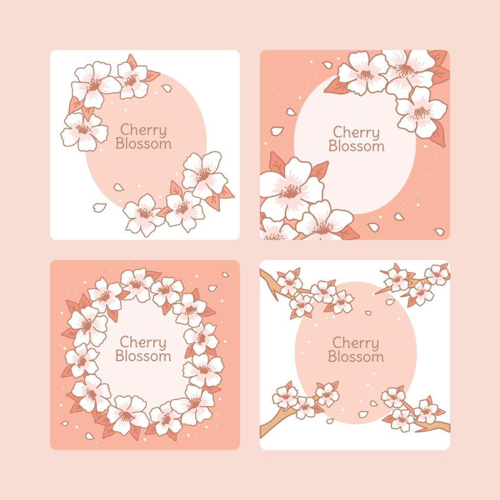 varias tarjetas de flor de cerezo vector