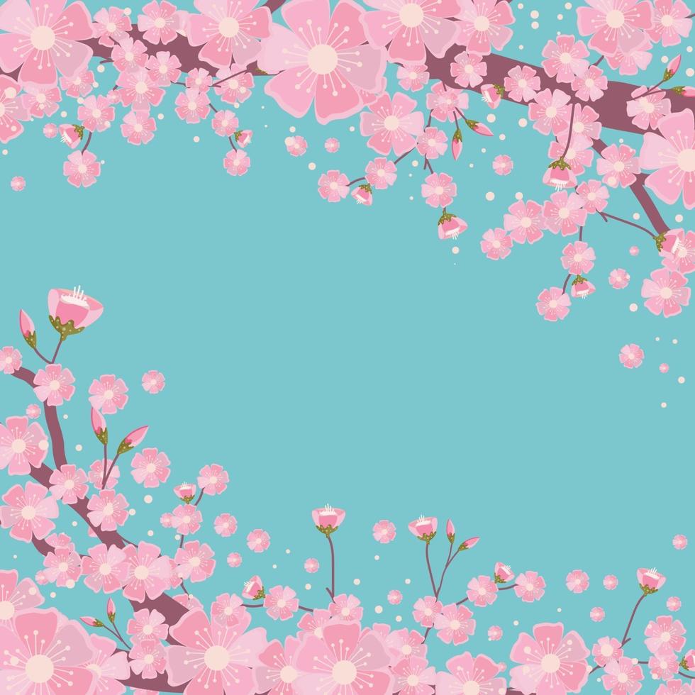 Cherry Blossom with Turquoise background vector