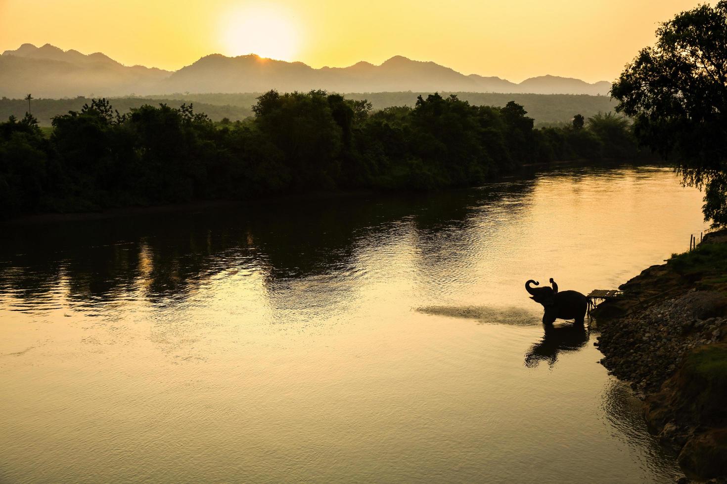 Una silueta de un elefante bañándose en el río por la mañana. foto