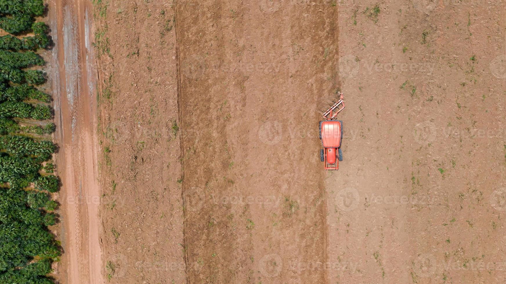 Red tractor in a field photo