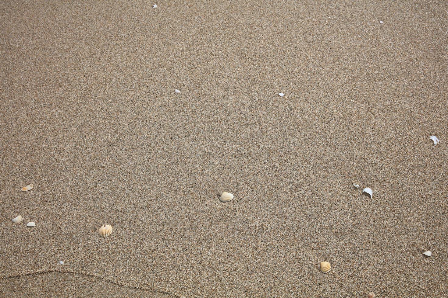 Top view of fine sand on a beach photo