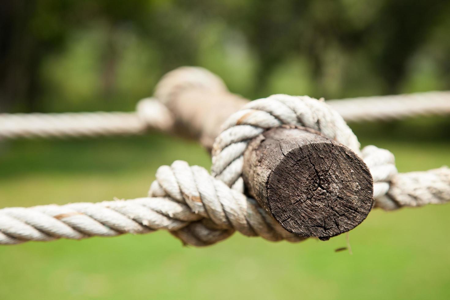 Rope fastened to the timber photo