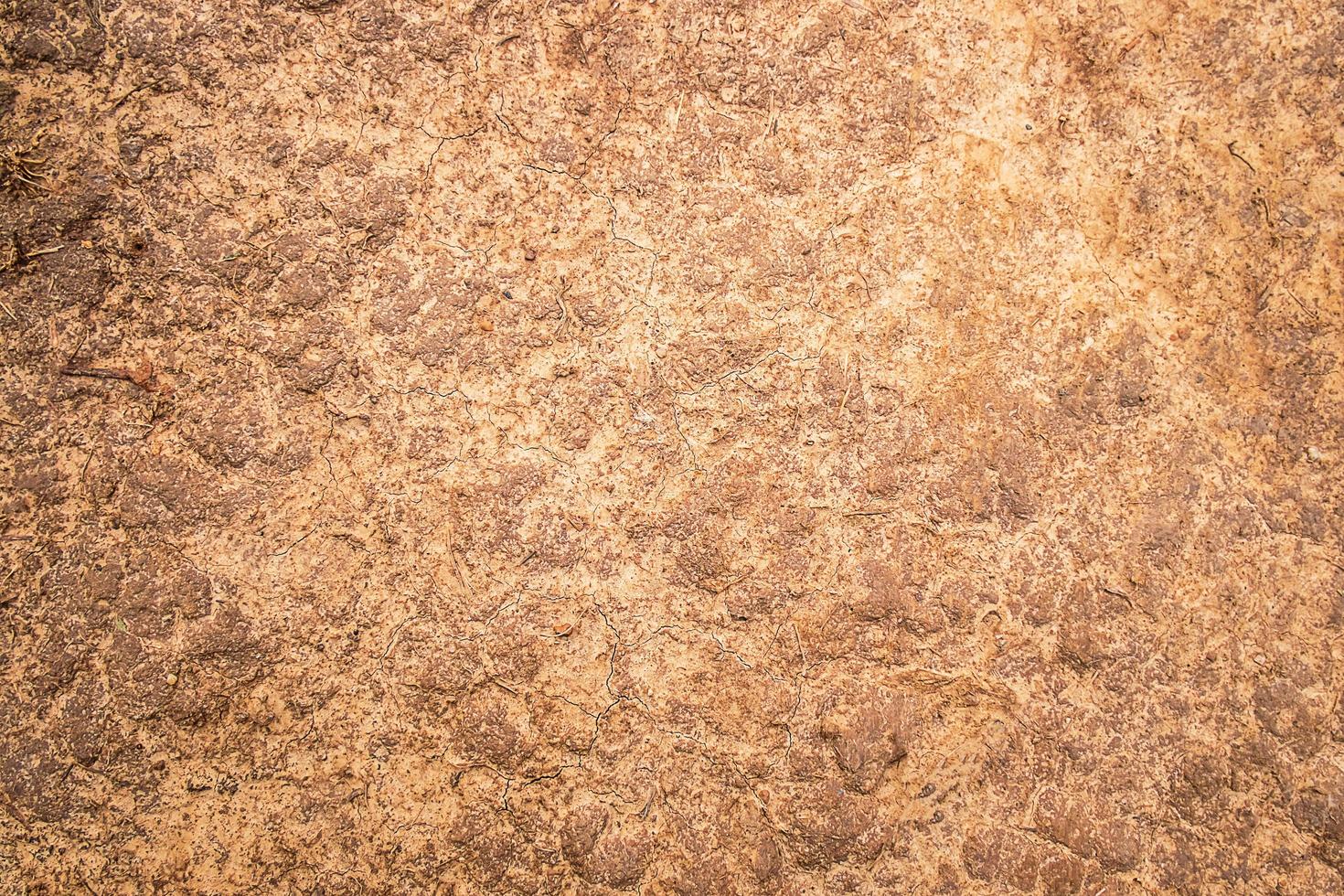 Rustic brown background 1980192 Stock Photo at Vecteezy