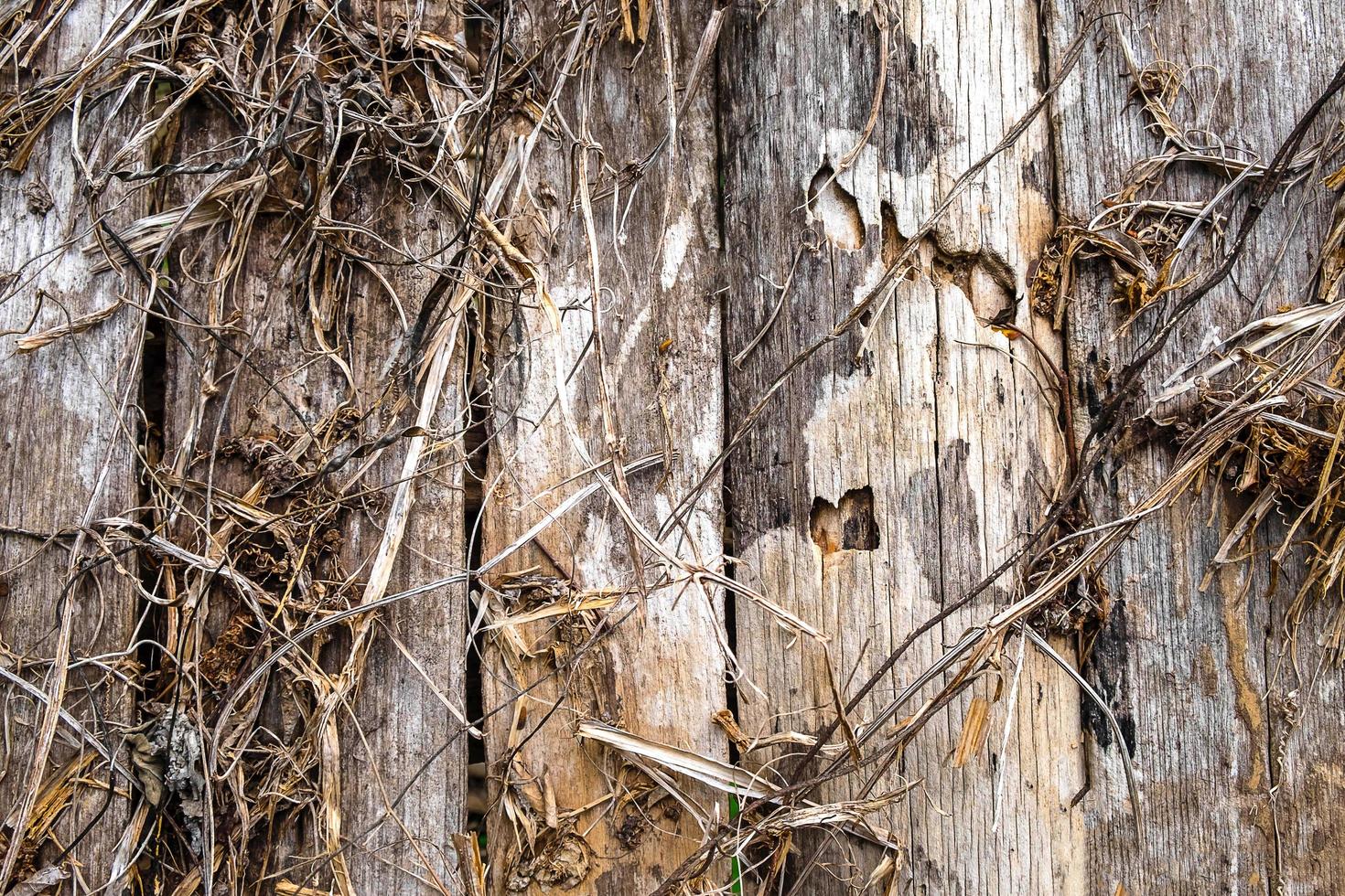 fondo de madera vieja foto