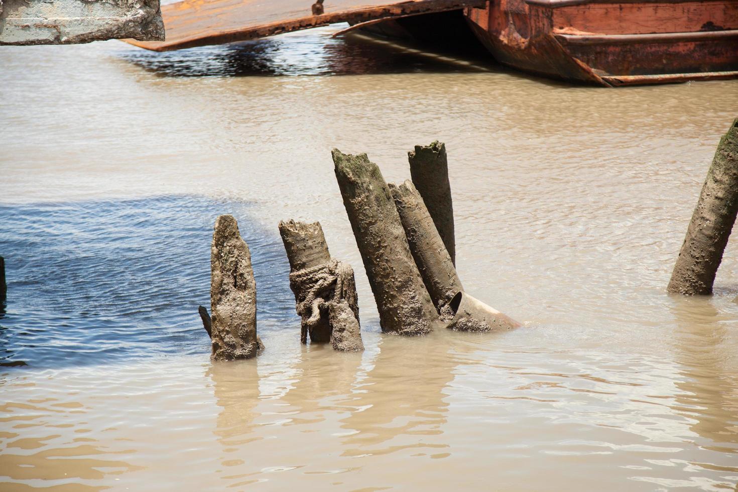 Logs in the river photo