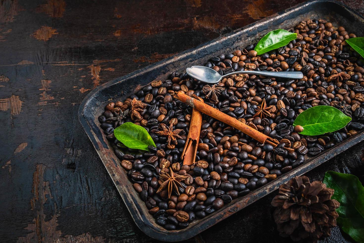 Coffee beans and spices photo