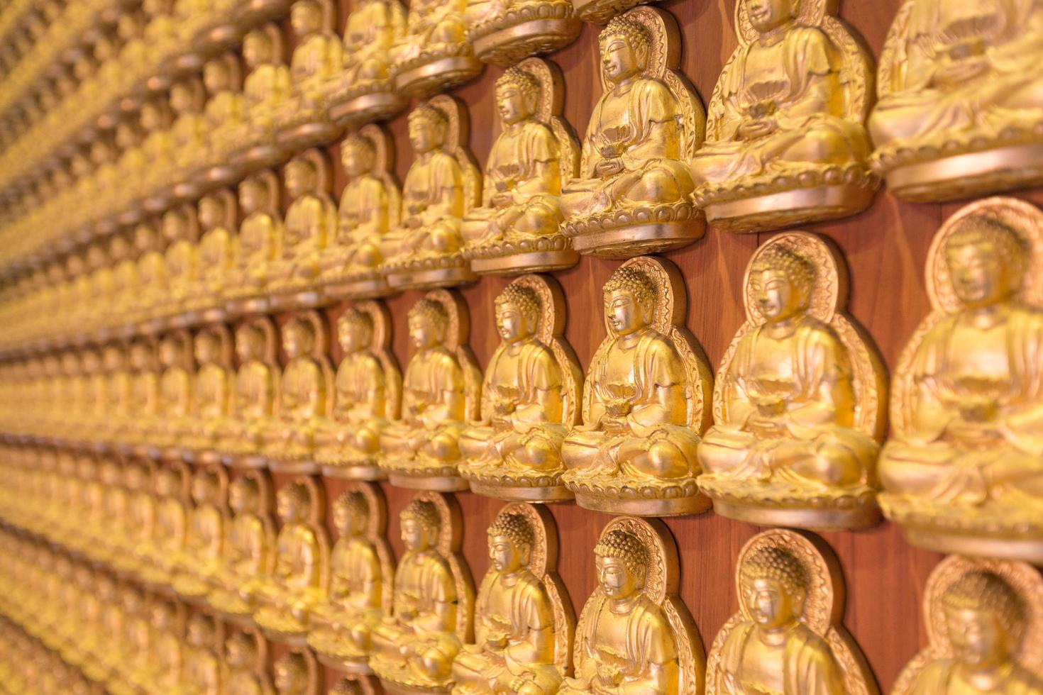 estatuas de buda en un templo en tailandia foto