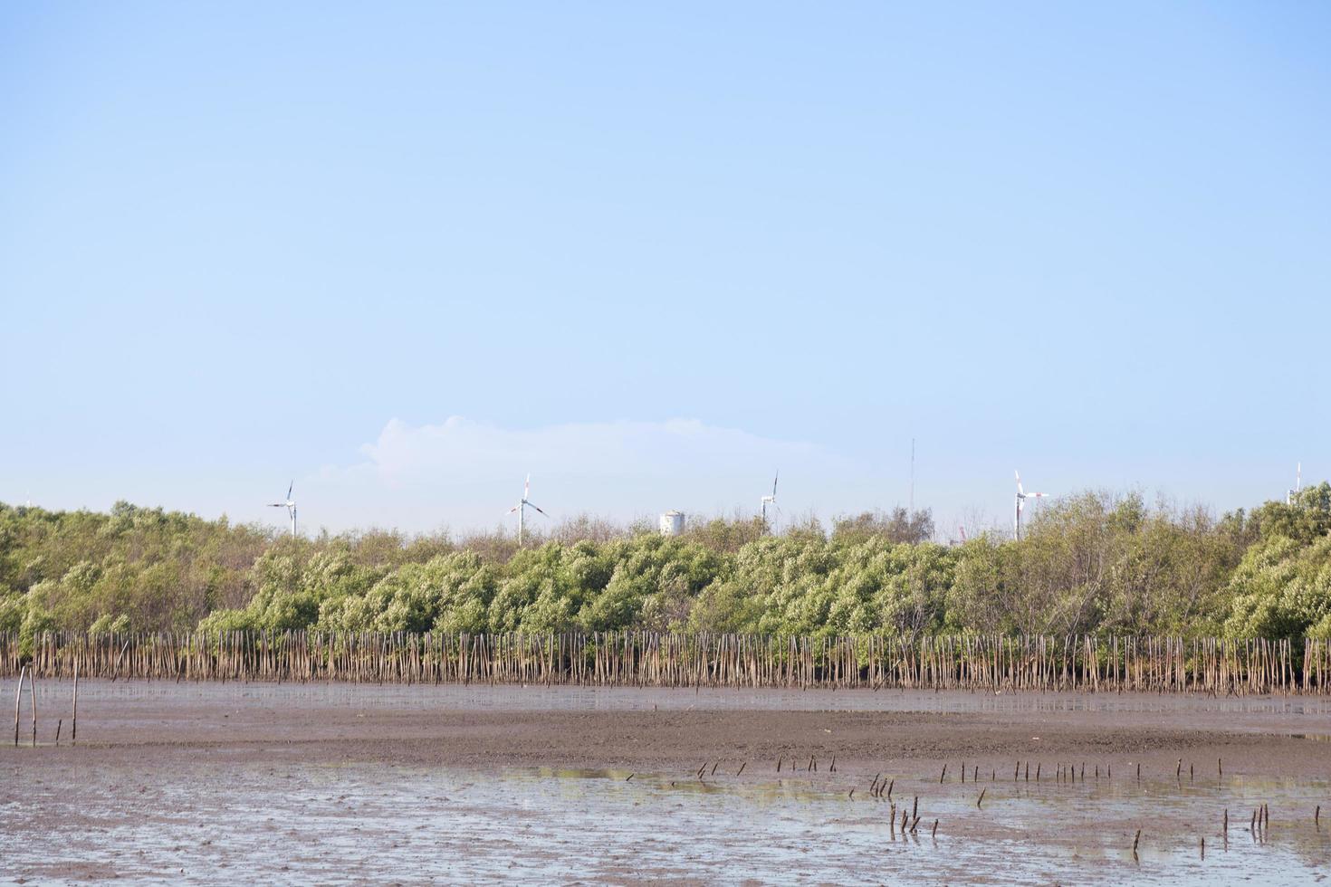 Large wind turbines photo