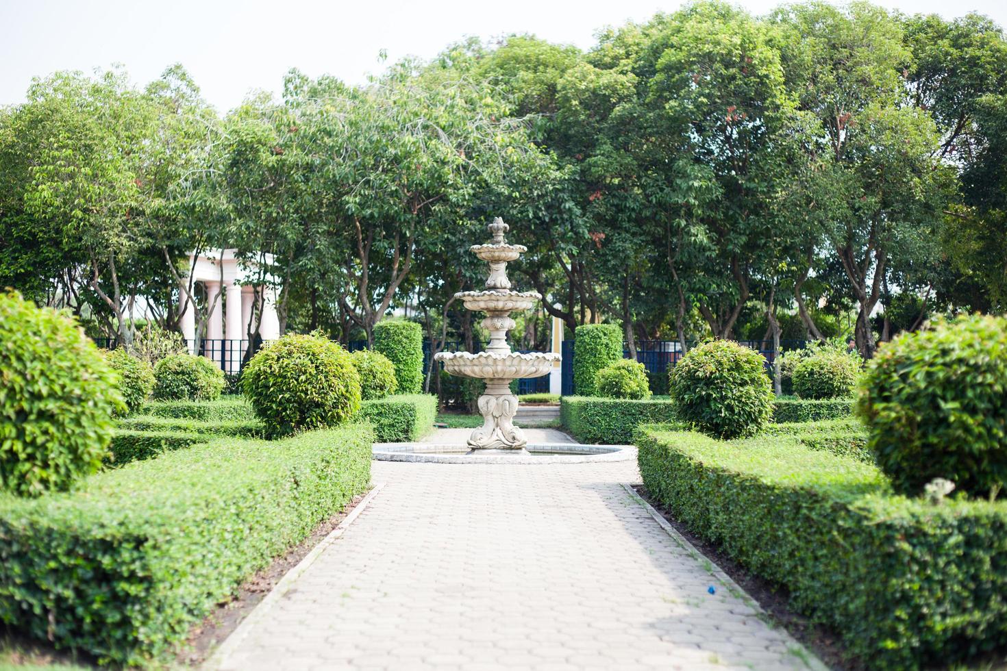 primavera en el parque foto