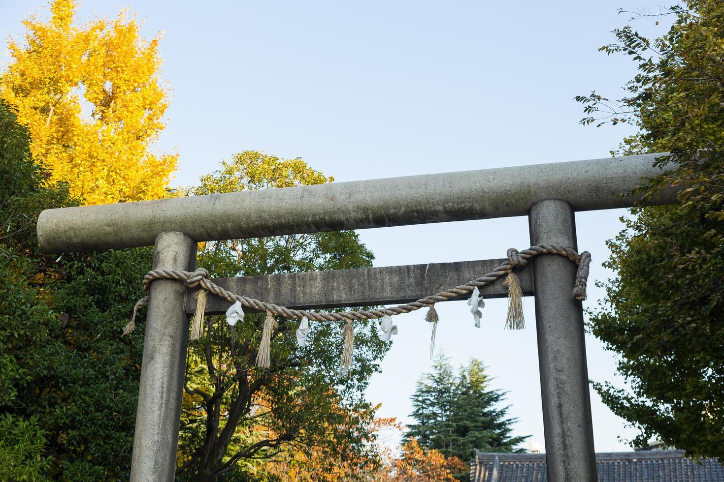 Shrine gate in Tokyo, Japan photo