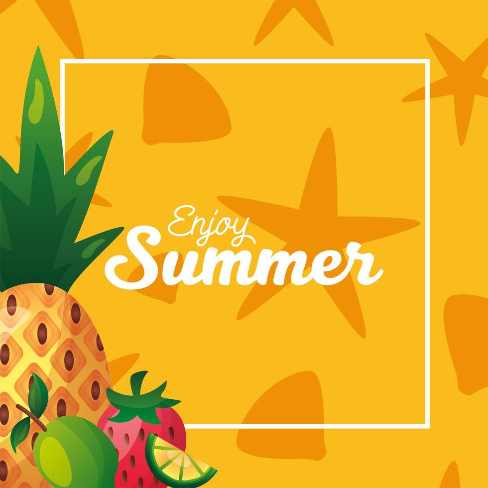 Summer time lettering with rectangle frame and fruits vector