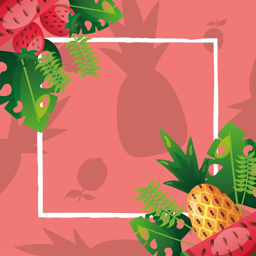 Summer time frame with tropical icons vector