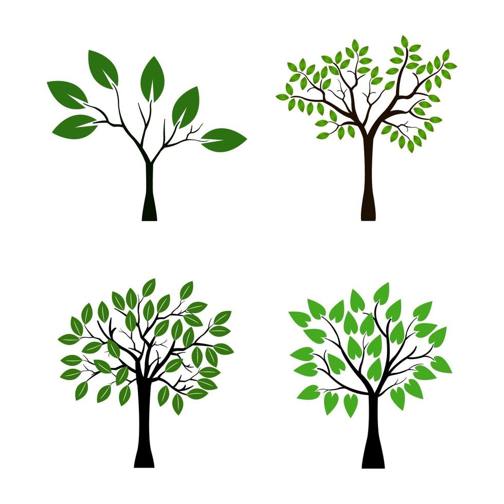 Set Of Trees On White Background vector