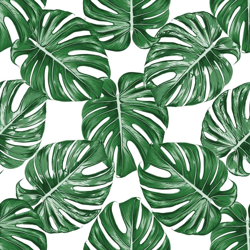 Seamless pattern monstera green leaf on isolated white background. Vector illustration dry watercolor hand drawing stlye.Fabric design texitle