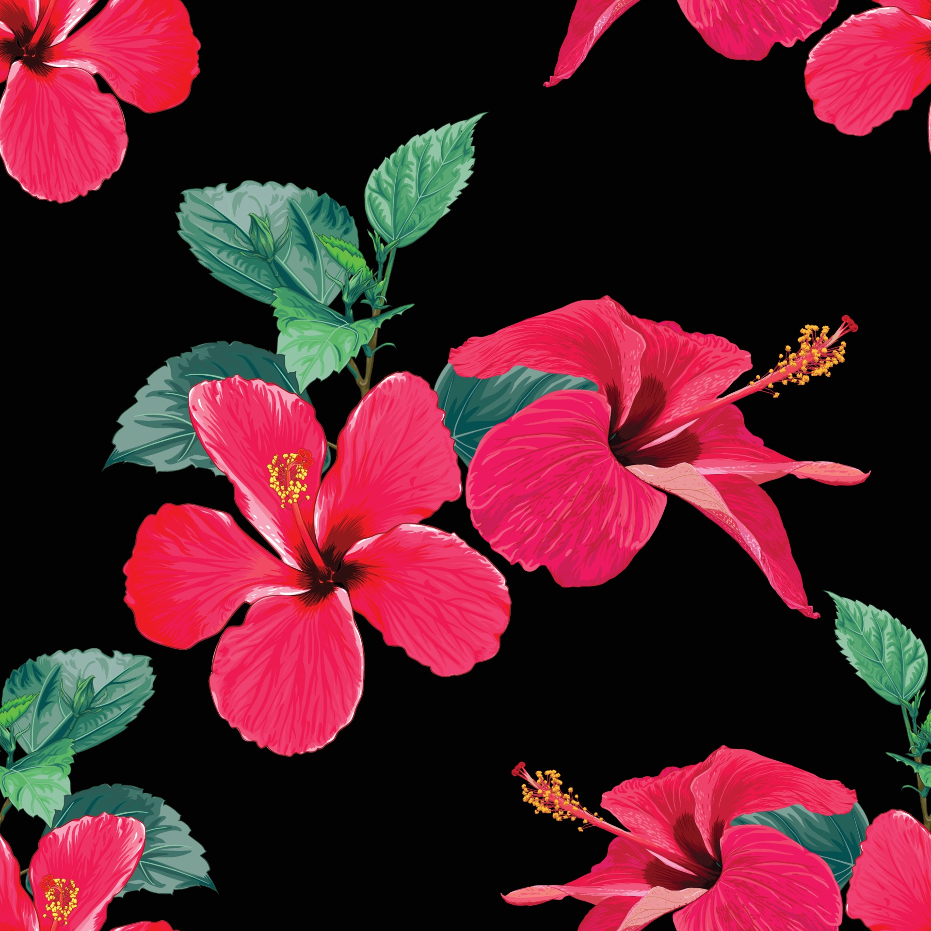 Seamless Pattern Tropical Summer With Red Hibiscus Flowers On Isolated Black Background Vector Illustration Hand Drawing Watercolor Style For Fabric Design 1984132 Download Free Vectors Clipart Graphics Vector Art Tons of awesome red and black background to download for free. seamless pattern tropical summer with