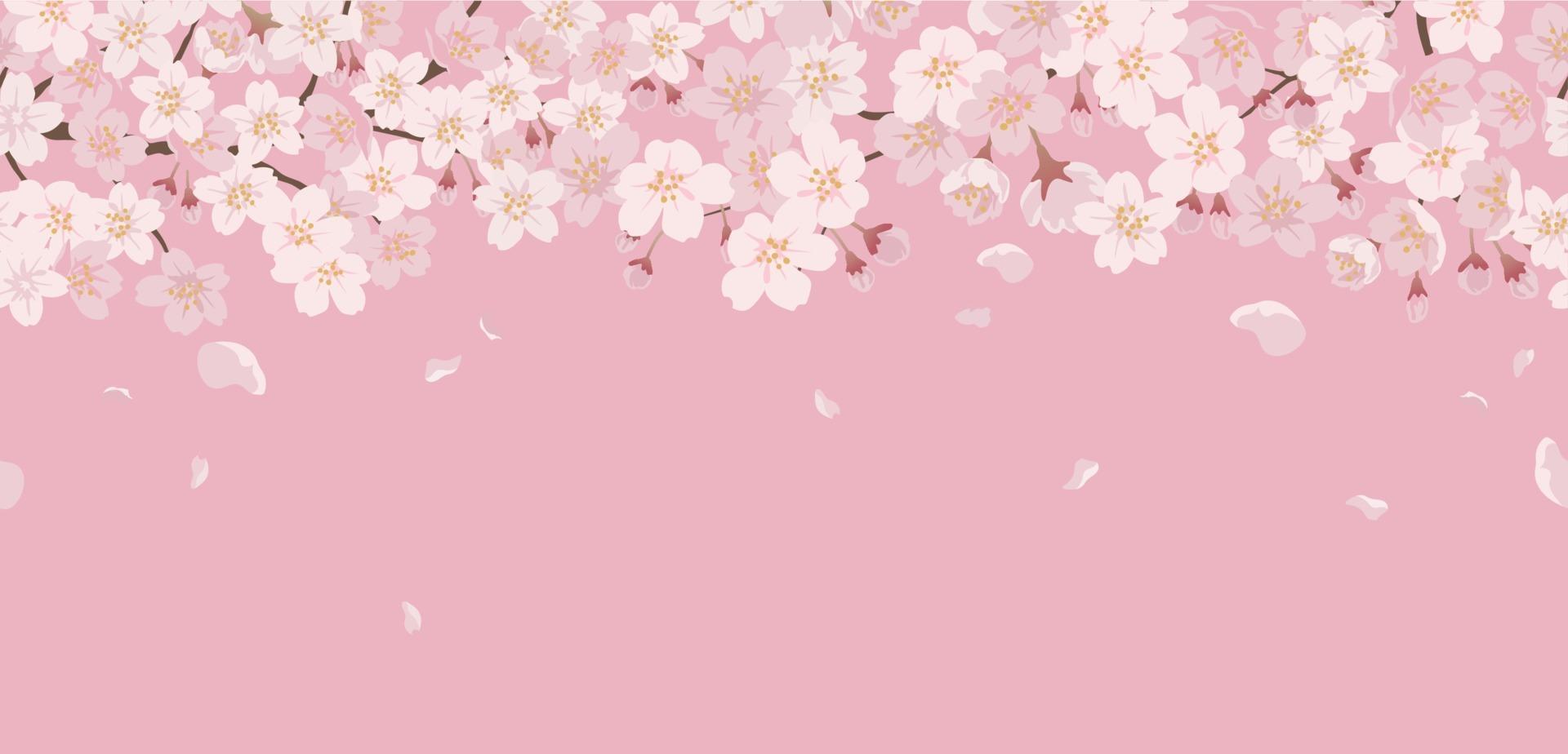 Seamless Floral Background With Cherry Blossoms In Full Bloom On A Pink Background. Horizontally Repeatable. vector