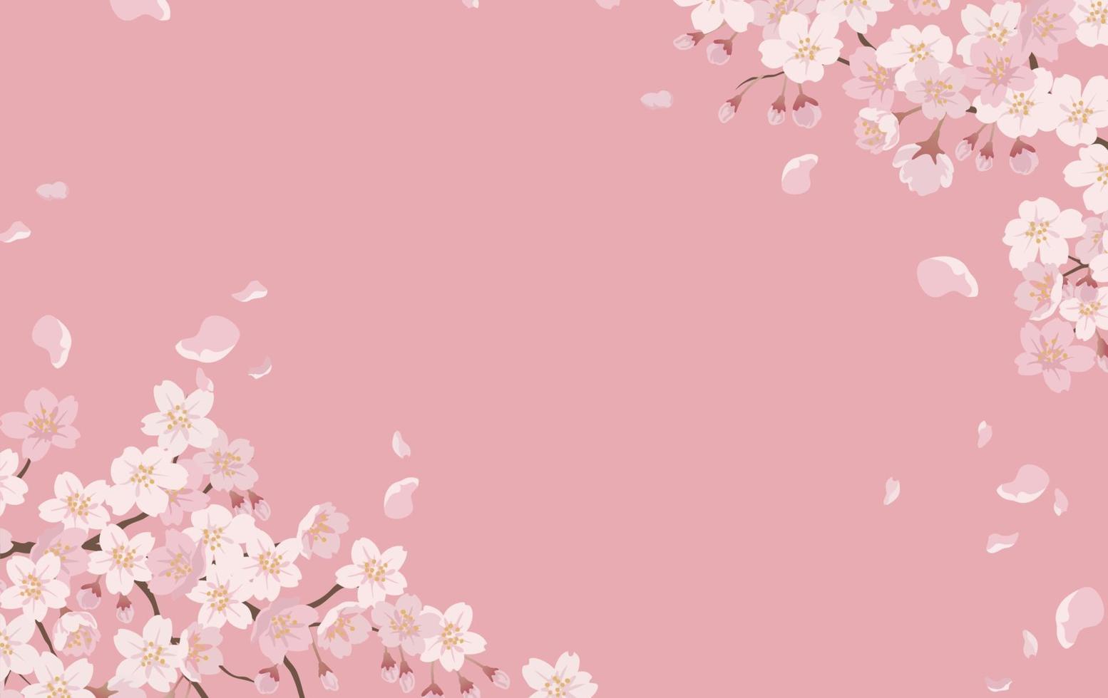 Floral Background With Cherry Blossoms In Full Bloom On A Pink Background. vector