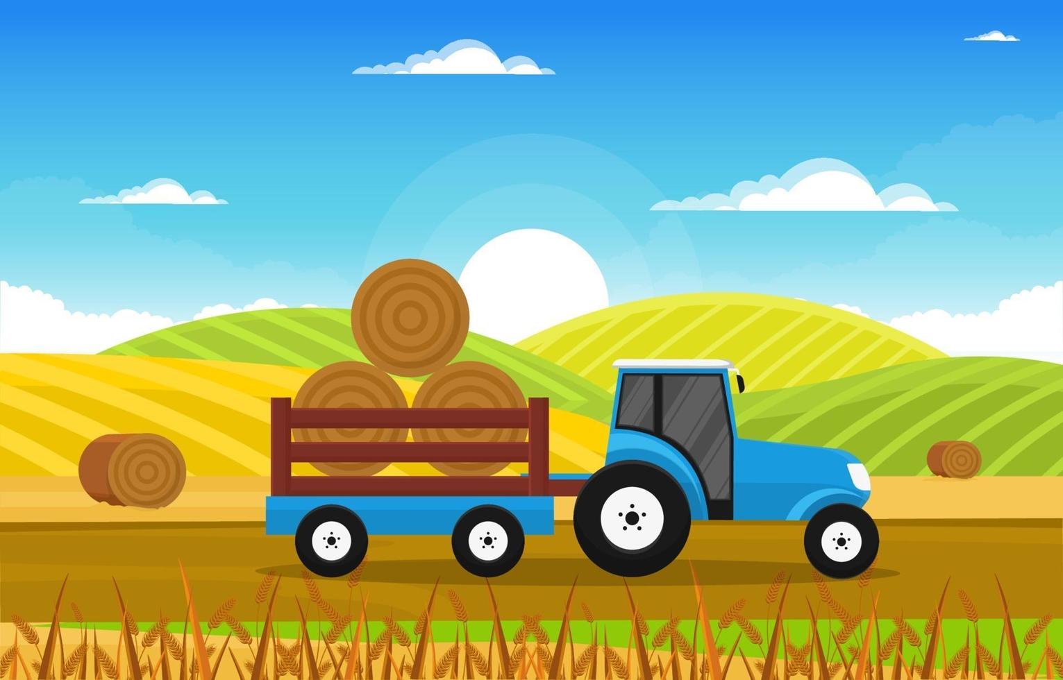 Agriculture Wheat Field Farm Rural Nature Scene Landscape Illustration vector