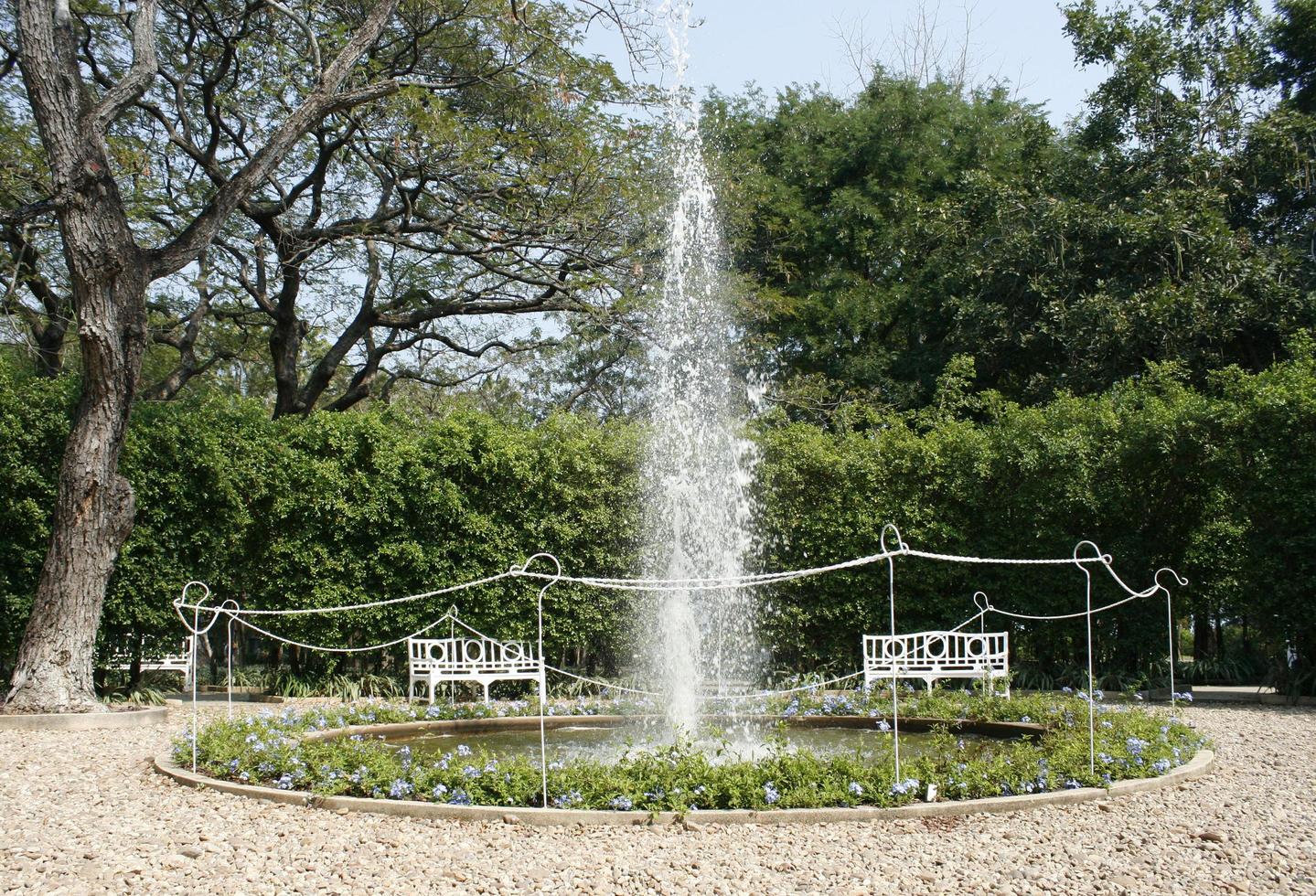 Water fountain in the garden photo