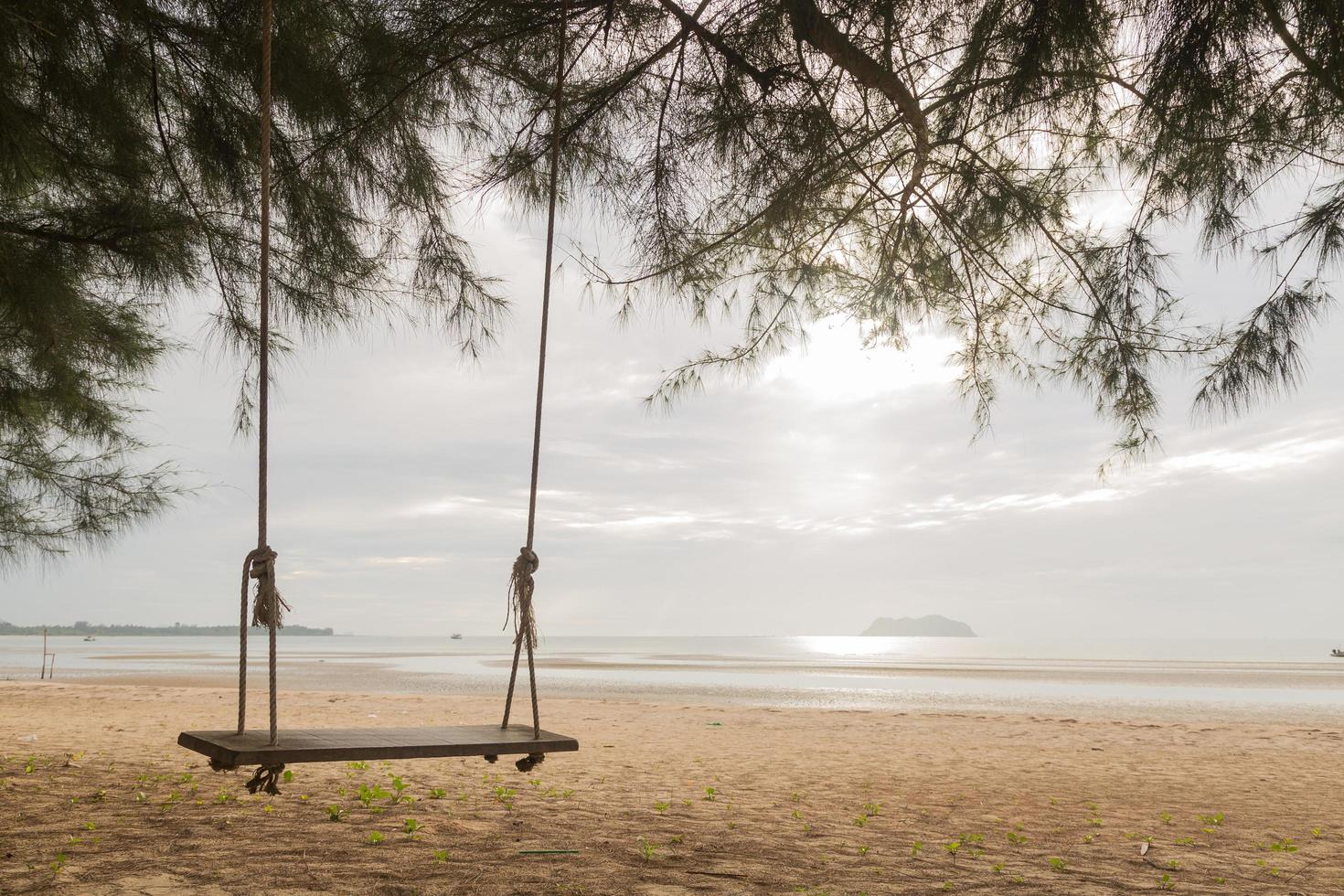 Swing under the tree photo