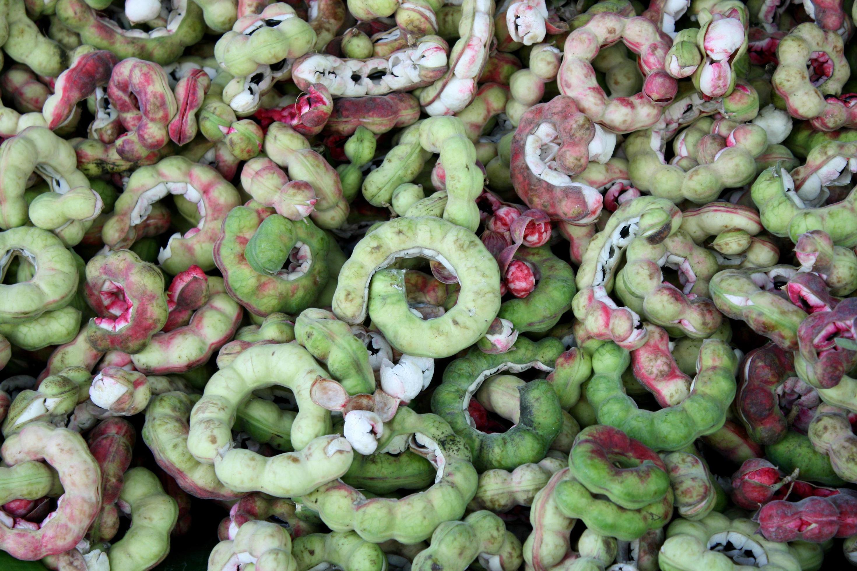 Group Of Manila Tamarind Fruit Stock Photo