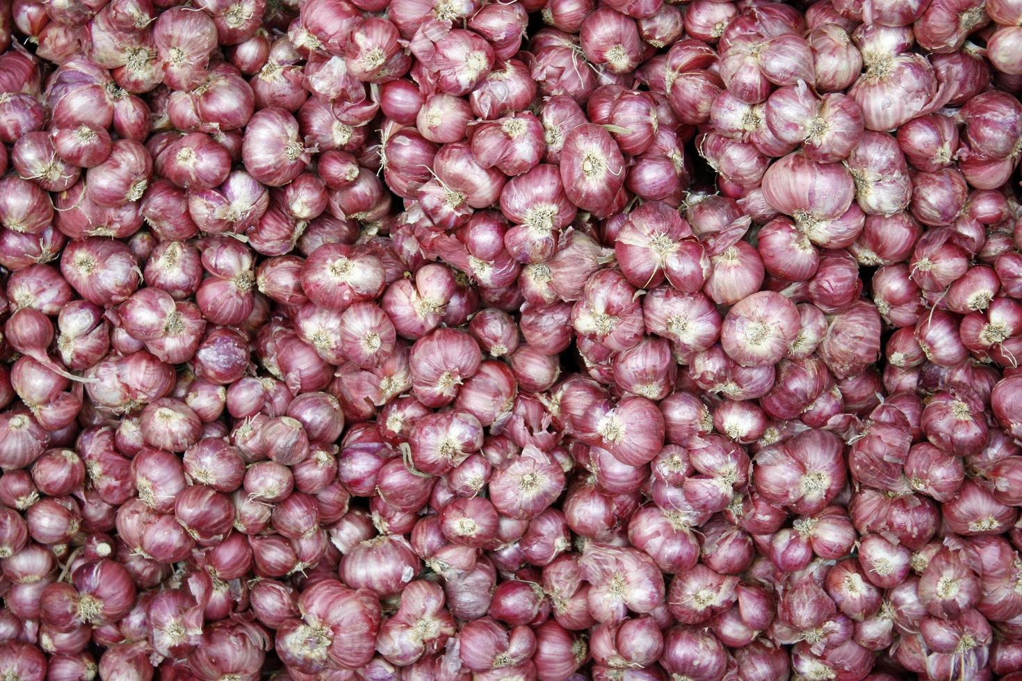 Pile of shallots photo