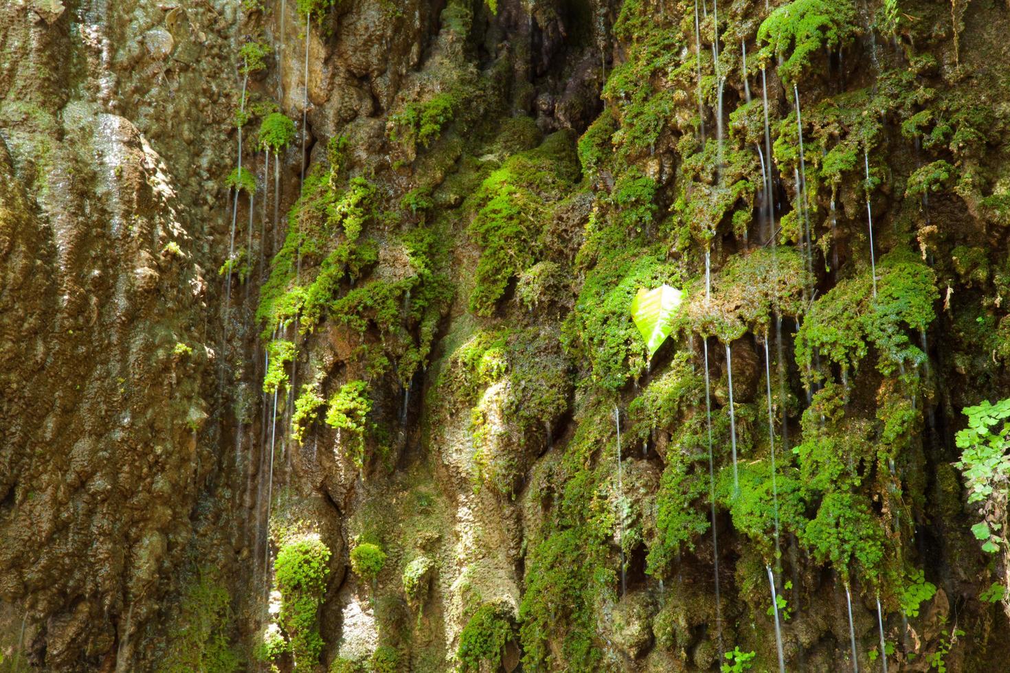 Water flowing down on the rock wall photo