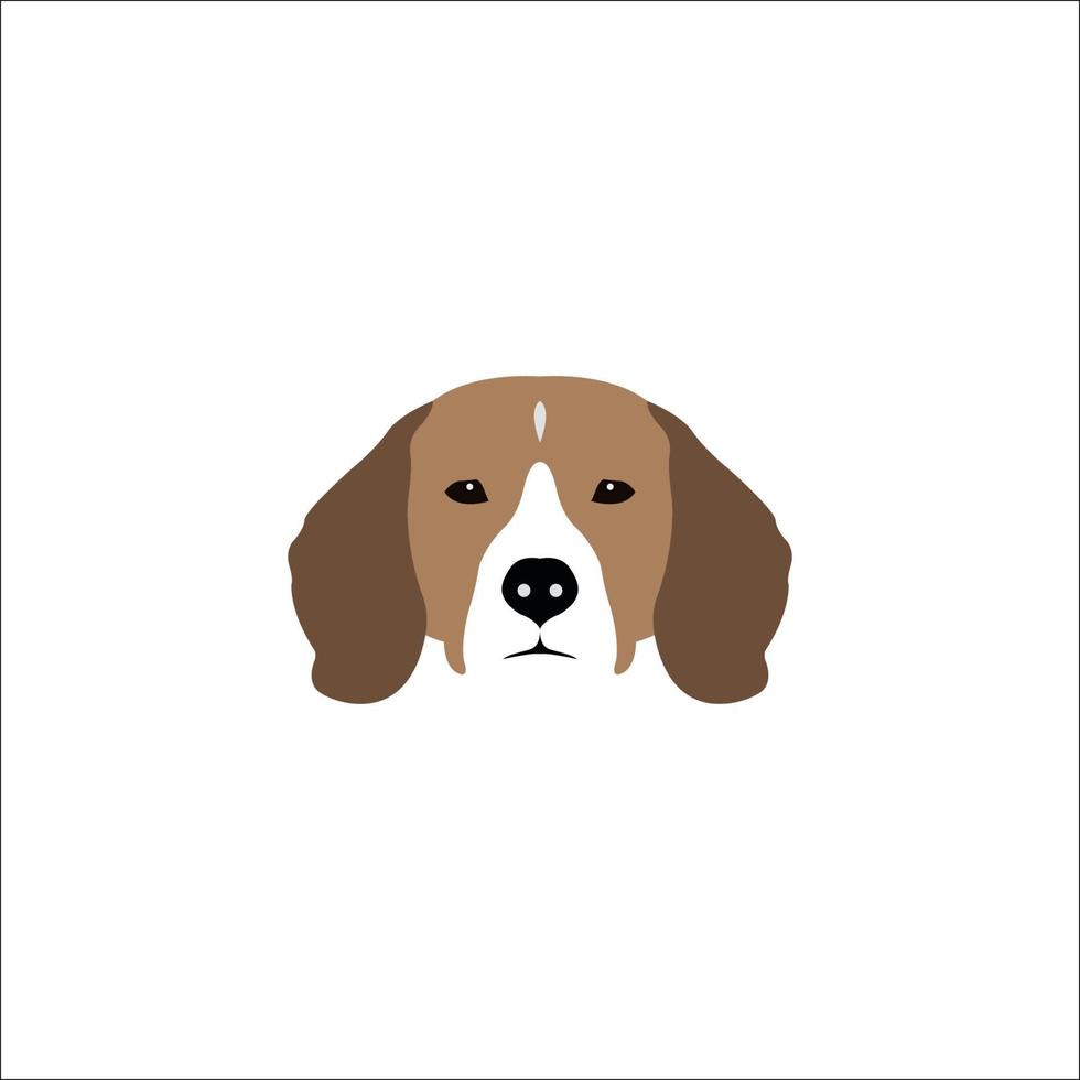 Beagle head isolated on white background. Purebred dog vector illustration.