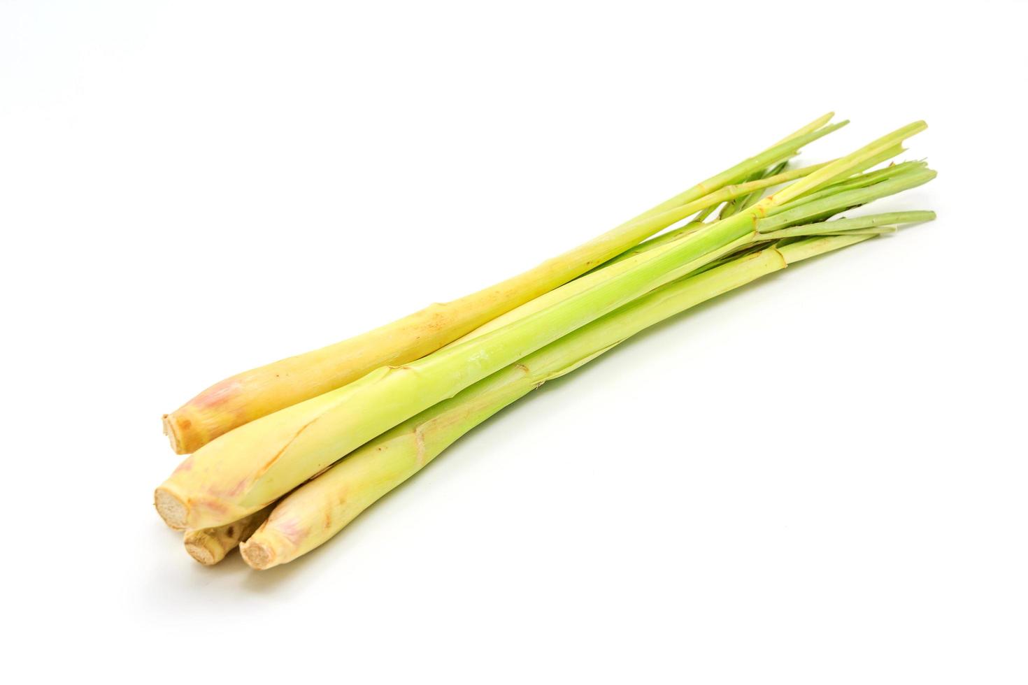 Lemon grass on white background photo