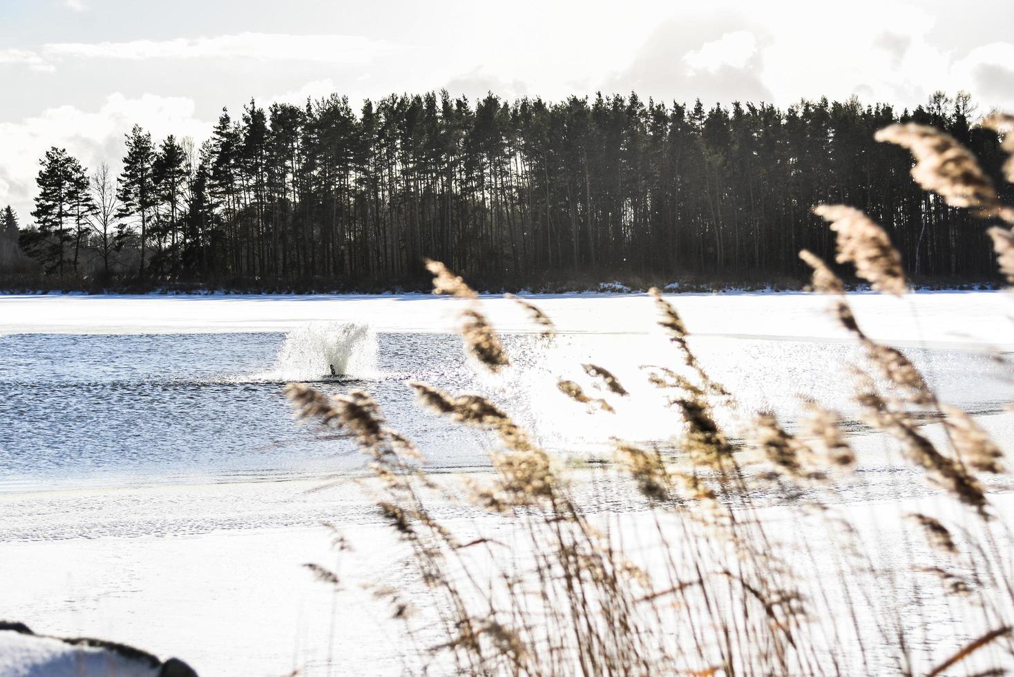 A partially frozen pond with an aeration fountain and blades of grass photo