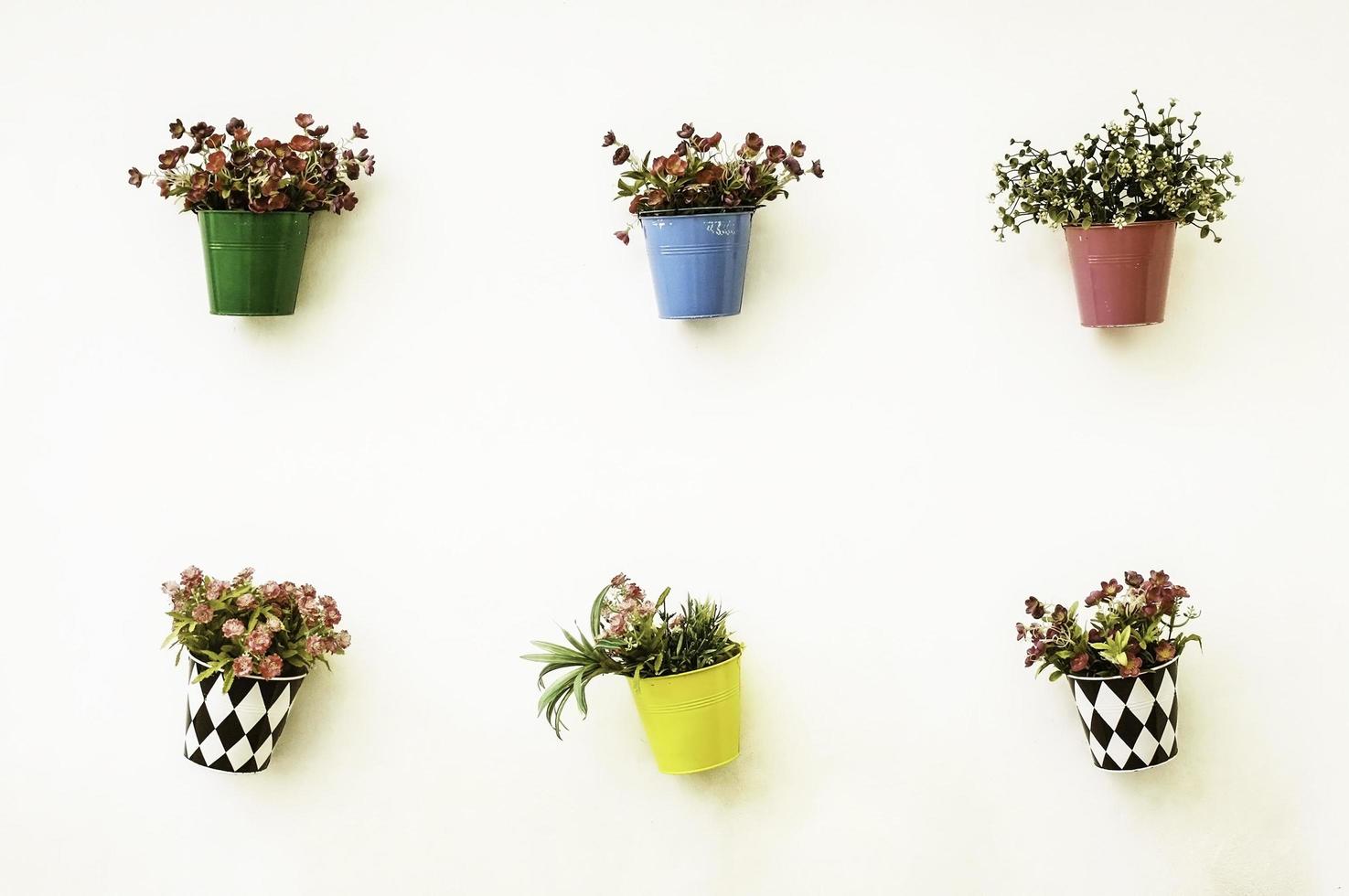 Colorful flower pots on wall photo