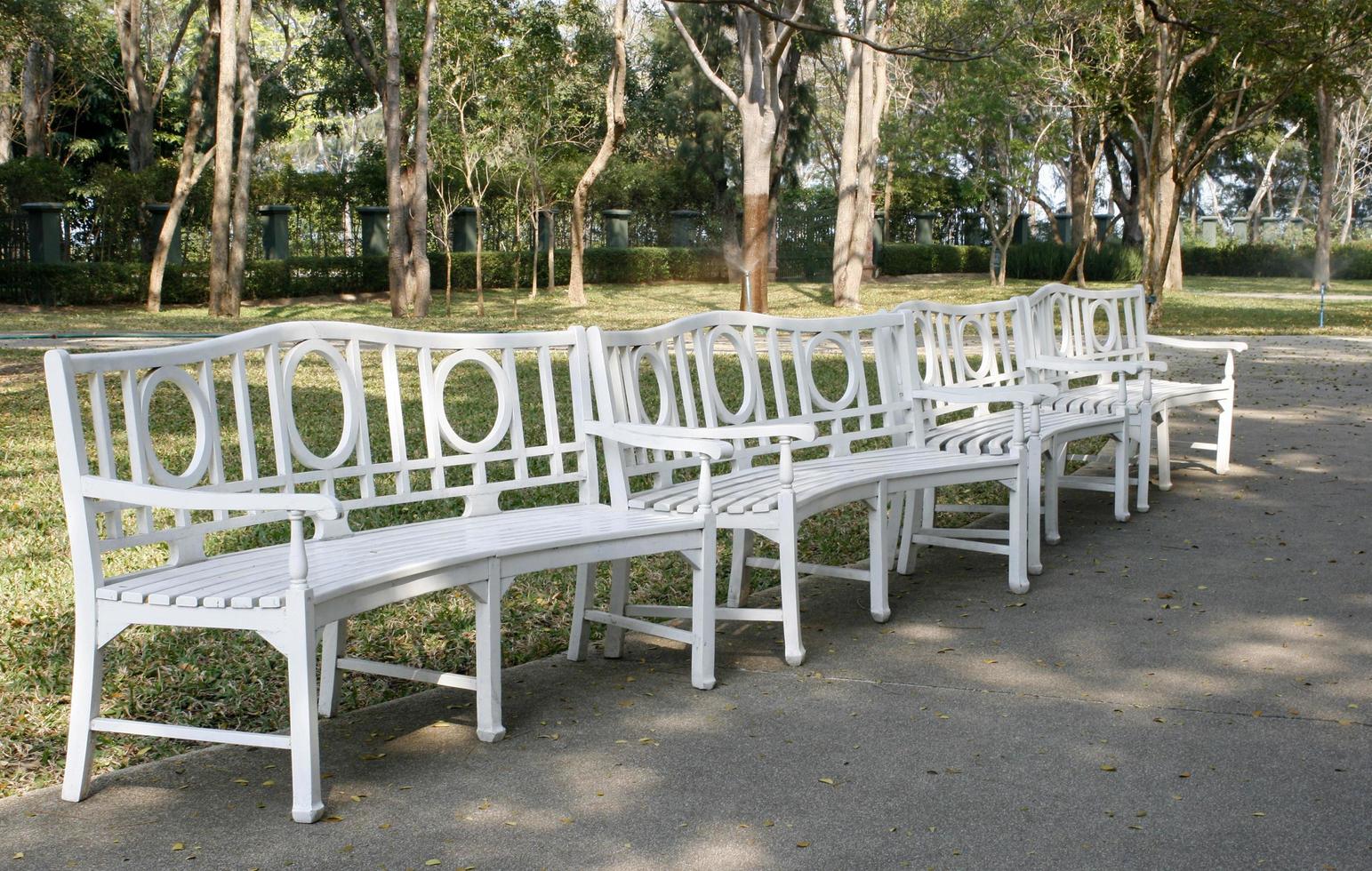 Row of white park benches photo