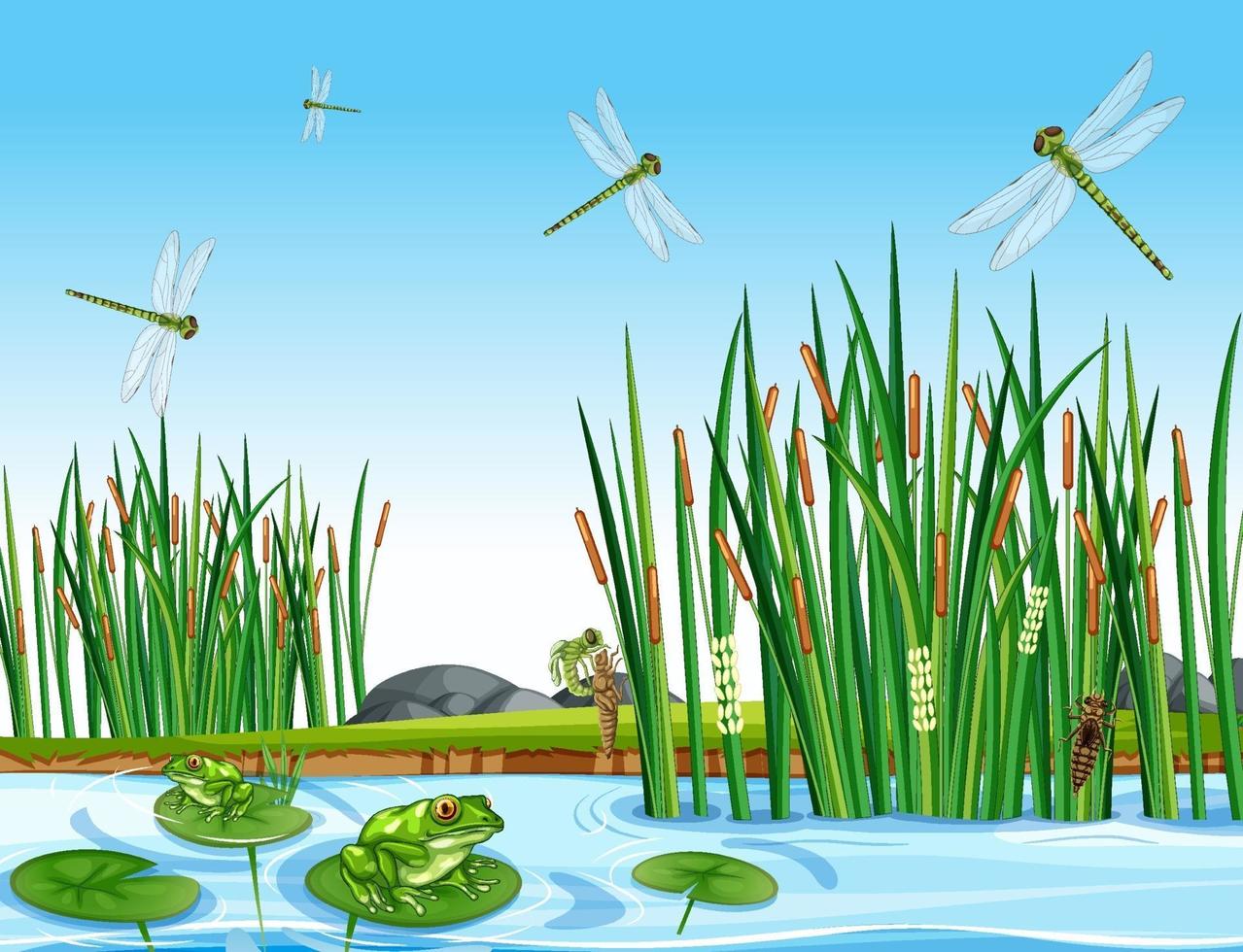 muchas ranas verdes y libélulas en la escena del estanque vector