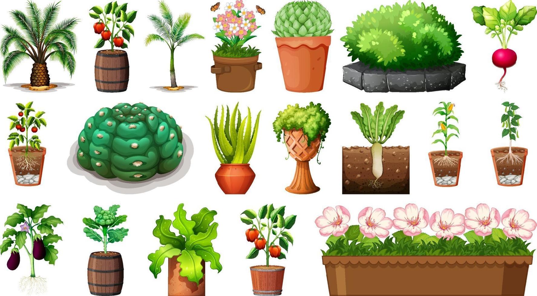 Set of different plants in pots isolated on white background vector