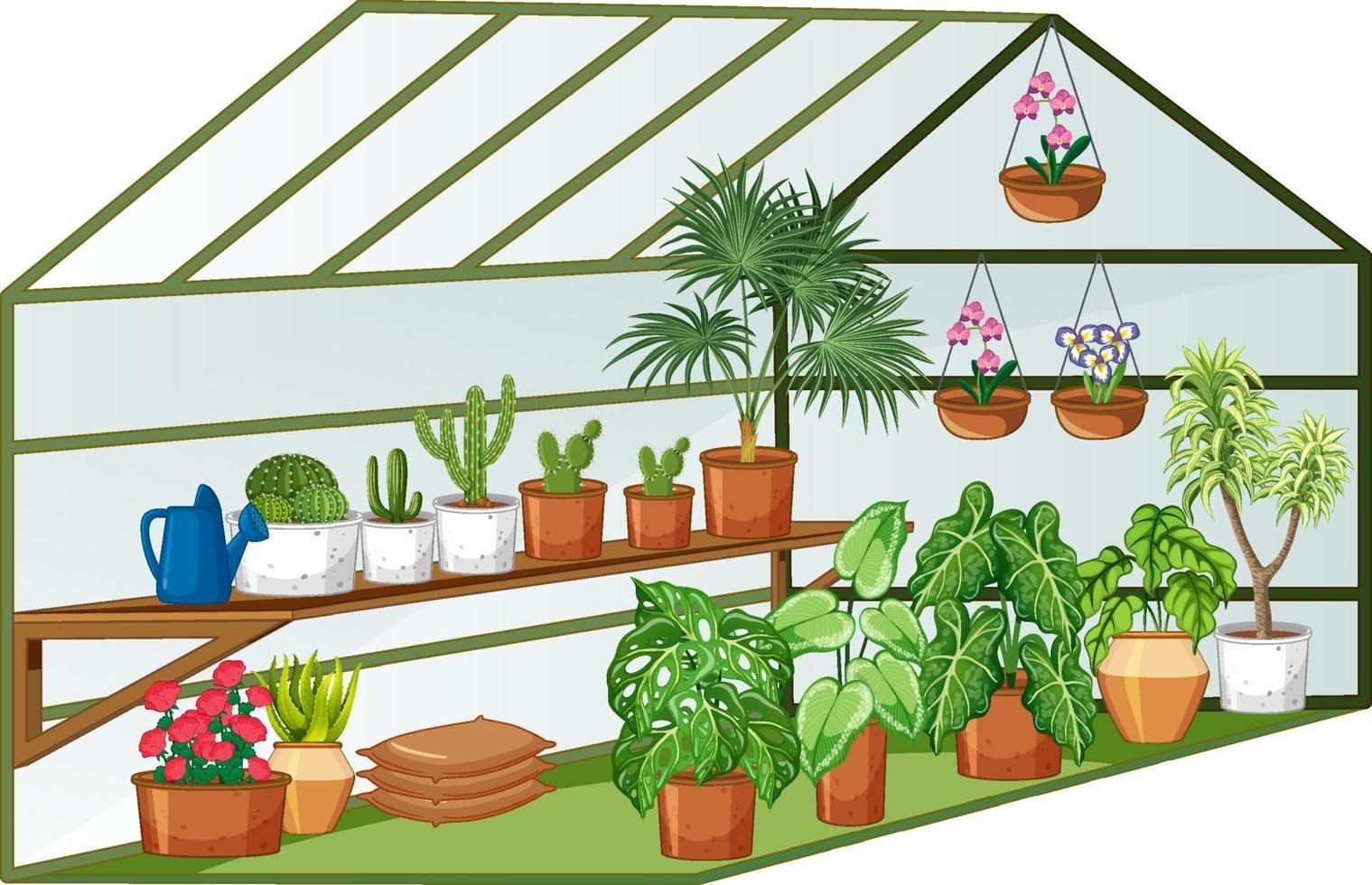 Vista abierta del invernadero con muchas plantas en el interior. vector