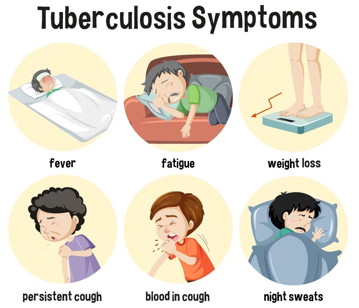 infografía de información de síntomas de tuberculosis vector