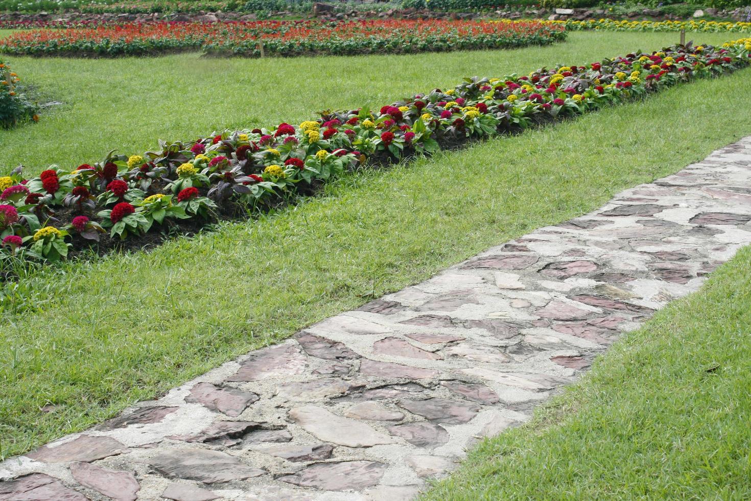 Stone walkway near flowers photo