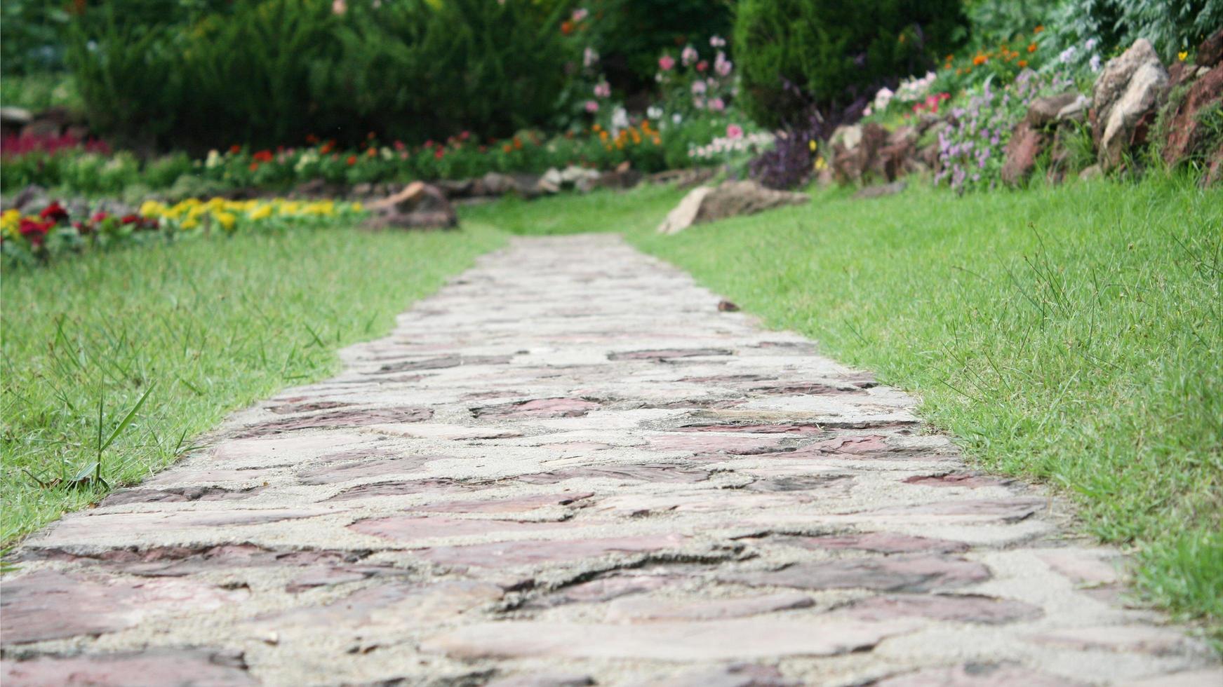 Close-up de un camino de piedra en un jardín. foto