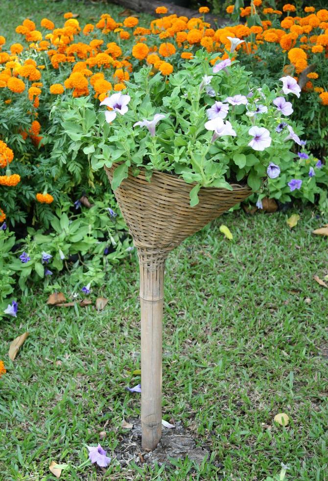 Flowers in a basket in a garden photo