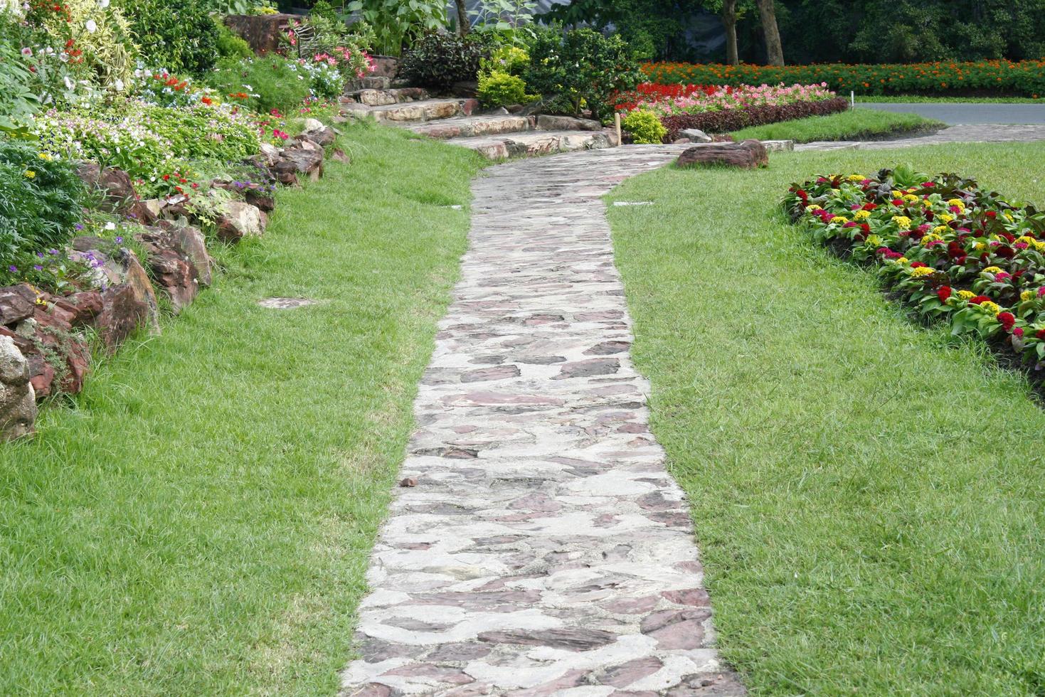 Camino de cemento en un jardín. foto