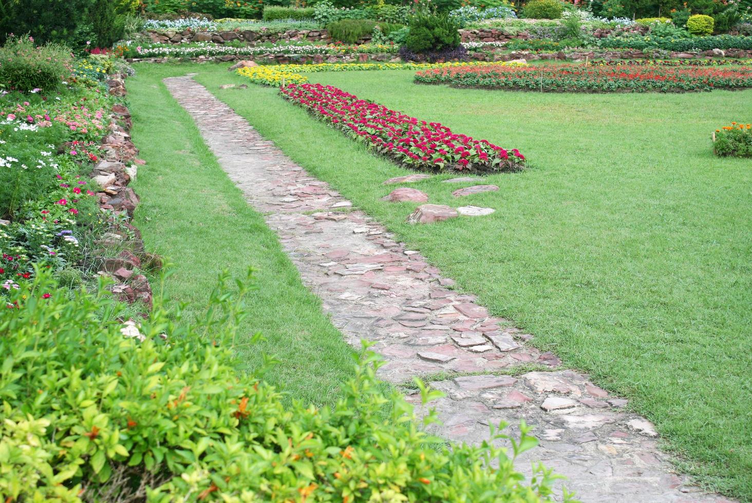 Stone pathway in a garden photo