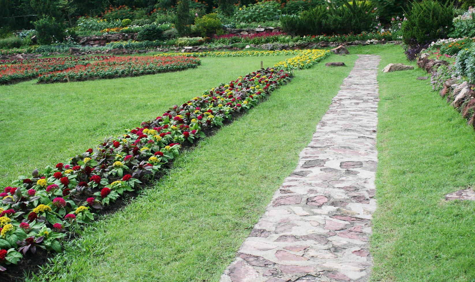 Walking path in a flower garden photo